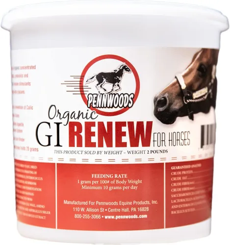 Pennwoods Equine Products GI Renew - 1 LB | Digestión | Estimulante Inmune | Suplemento para caballos | Estimulante del apetito | Probiótico |