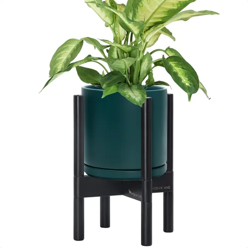 Miniatura 77 de D'vine Dev Maceta de cerámica con soporte de ébano – Maceta redonda moderna de 8 pulgadas con soporte para maceta de madera, color negro, 55-B-M-2