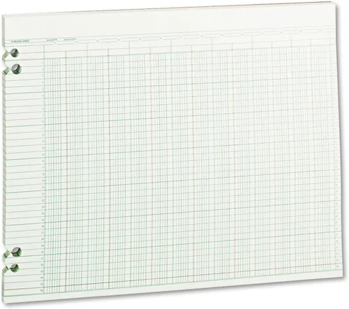 Wilson Jones WLJG3024 - Papel de contabilidad columnar verde, formato de doble página, 24 columnas y 36 líneas por página, 11 x 14 pulgadas, 100