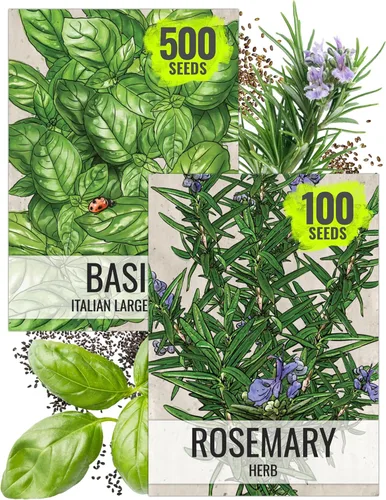 Miniatura 8 de Seed Needs Semillas de manzanilla para plantar manzanilla alemana y romana, semillas de hierbas sin OMG y sin tratar para plantar un jardín