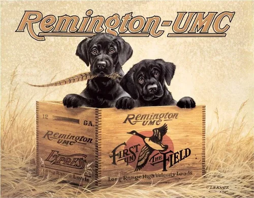 Miniatura 8 de Desperate Enterprises Señales de estaño Remington
