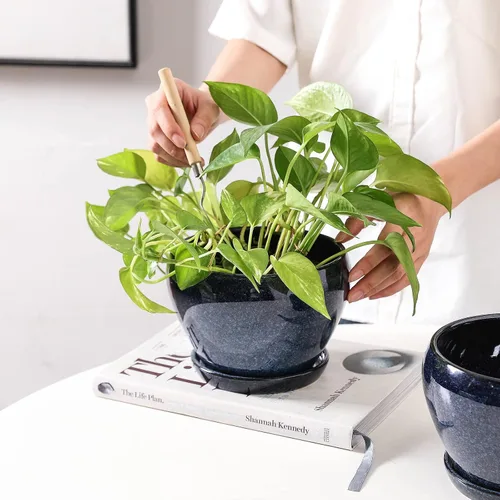 Miniatura 3 de vicrays Macetas de cerámica para plantas de interior - Maceta de 6.5 pulgadas con orificio de drenaje y platillo para suculentas, orquídeas, flores