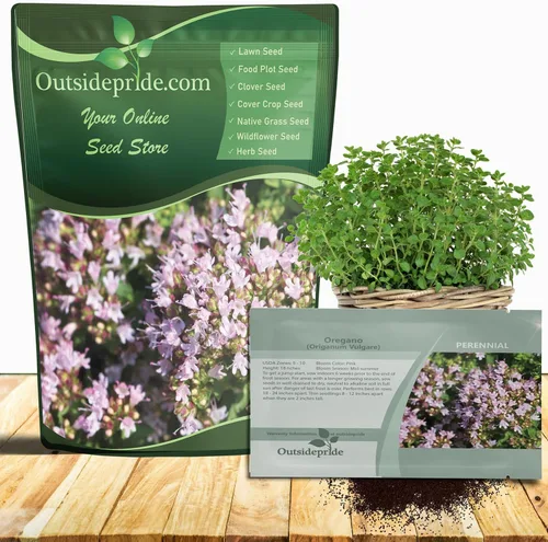 Outsidepride Semillas de orégano comunes - Semillas de hierbas perennes, aromáticas y fáciles de cultivar para uso culinario, sabrosos jardines de