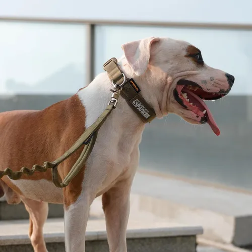 Miniatura 7 de EXCELLENT ELITE SPANKER Collar de nailon para cachorro, ajustable, suave, acolchado, resistente, hebilla de liberación rápida, ligero, sin Verde
