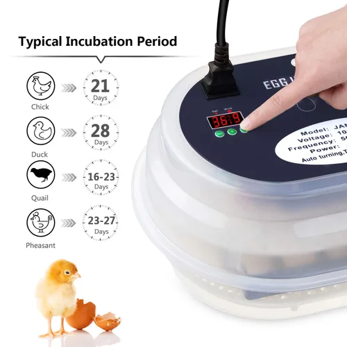 Miniatura 4 de HBlife Incubadora digital de huevos para incubar 9-12 huevos de pollo, codorniz y pato, con giro de huevos completamente automático y pantalla