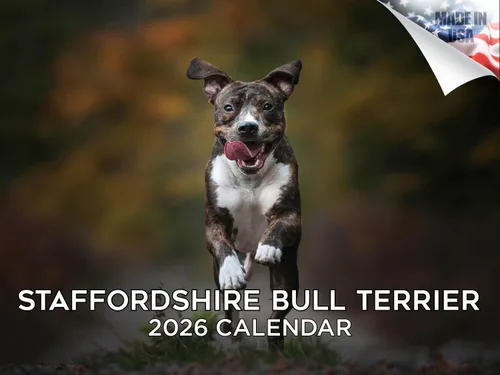 Miniatura 174 de Calendario 2025 2026 de cachorros Cocker Spaniel - Calendario mensual de pared de raza de perro - 12" x 24" abierto - Papel grueso sin sangrado