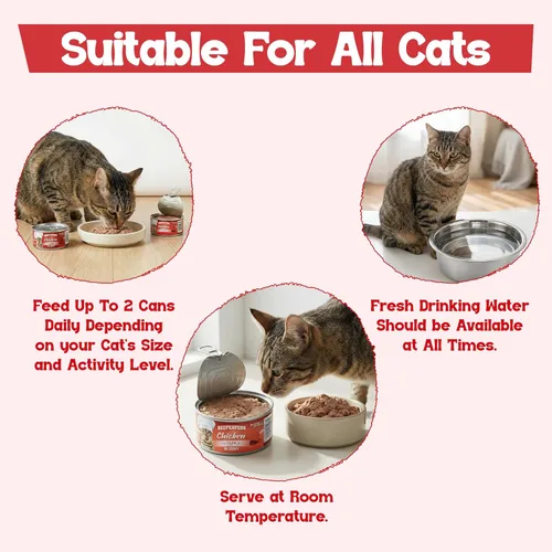 Miniatura 4 de Beefeaters Chunk in Salsa - Golosinas para gatos de 3 onzas (paquete de 24 unidades), alimentos húmedos de primera calidad, ricos en vitaminas