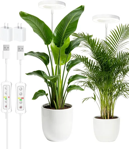 Miniatura 27 de yadoker 72 LEDs Luz de cultivo de plantas para plantas de interior, Luz de escritorio de aluminio con grano de madera de nogal LED, Altura