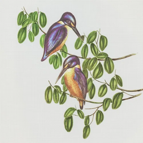 Miniatura 5 de Canguros australianos John Gould Counted Patrón de punto de cruz