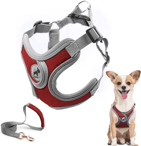 Miniatura 11 de Arnés para perro con juego de correa, arneses para cachorros con acolchado transpirable para entrenamiento y carrera de perros pequeños (XS, gris)