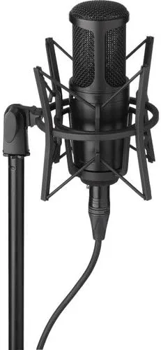 Miniatura 3 de Senal SCM-660 Micrófono de condensador multipatrón de diafragma grande