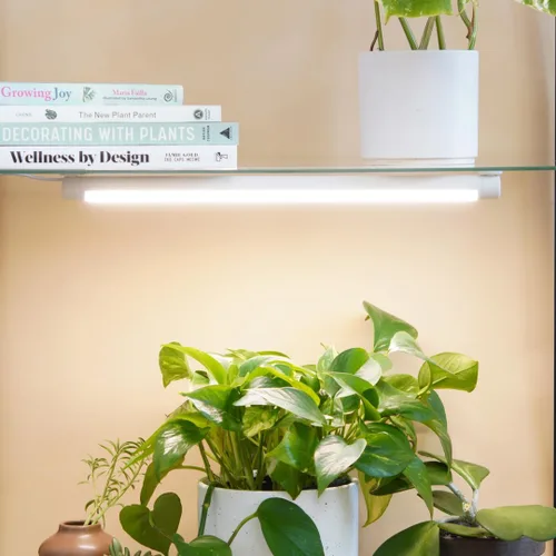 Miniatura 3 de Soltech Solutions Grove™ - Luz LED para cultivo, debajo del gabinete/estantería o montada en la pared para plantas de interior y hierbas, control