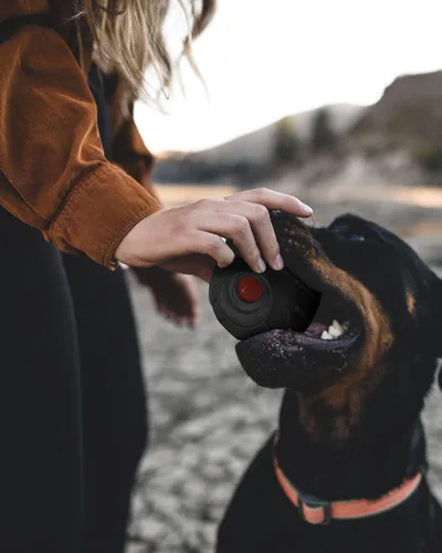 Miniatura 3 de Pelota Giggle para Perros Juguetes de Búho para Masticadores Agresivos Regalo para Perro Pelota de Goma Natural Búho Lindo Hoot Perro Mediano Grande