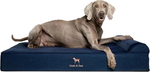 Miniatura 10 de NOAH & PAW Cama para perro, 28x23x7.5 pulgadas, camas ortopédicas para perros de tamaño mediano, espuma viscoelástica tipo cáscara de huevo Cuero
