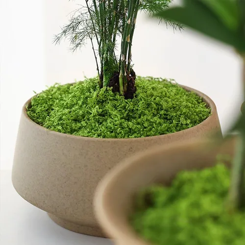 Miniatura 3 de KEYUSHOP Musgo verde falso para plantas en maceta, 5.3 onzas, musgo de reno preservado, musgo artificial decorativo para bricolaje, centros de mesa