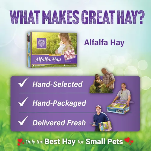 Miniatura 6 de Small Pet Select Alfalfa - Alimento para mascotas para conejos jóvenes, conejillos de indias, chinchillas, tortugas y otros animales pequeños, caja