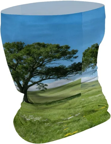 Miniatura 2 de Polaina para el cuello UPF 50, protección solar Prairie Lone Tree, máscara facial que absorbe la humedad y se seca rápido, sin costuras, polaina