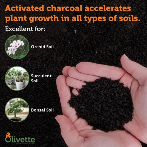Miniatura 4 de Olivette Carbón activado de biochar hortícola para plantas, control de humedad orgánico USDA para árboles de terrario y plantas en maceta