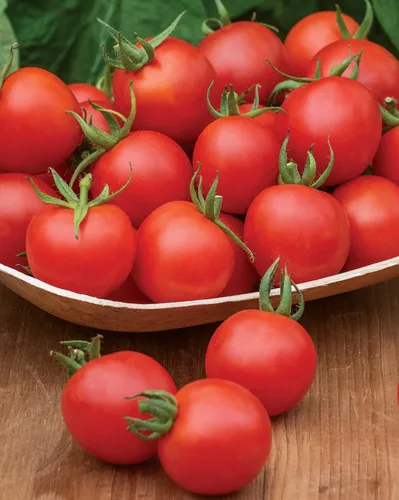 Miniatura 6 de Burpee Tomate 'Black Cherry' - Tomate cereza púrpura, sabor dulce y rico, 30 semillas Cereza Negra