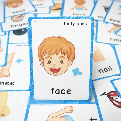 Miniatura 4 de SANTSUN 36 piezas de tarjetas flash My Body Parts para niños pequeños, con agujeros perforados, para que puedas ordenar y organizar las tarjetas