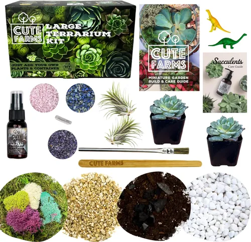 Miniatura 10 de Cute Farms - Juego de terrario para principiantes Musgo, vermiculita, tierra, piedras, alimento para plantas, herramientas de terminado, guía