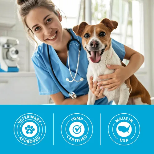 Miniatura 7 de PRN Pharmacal Duralactin Canine Joint Plus Soft Chews - Suplemento de salud articular para perros y cachorros - Apoyo de movilidad de mascotas - 60