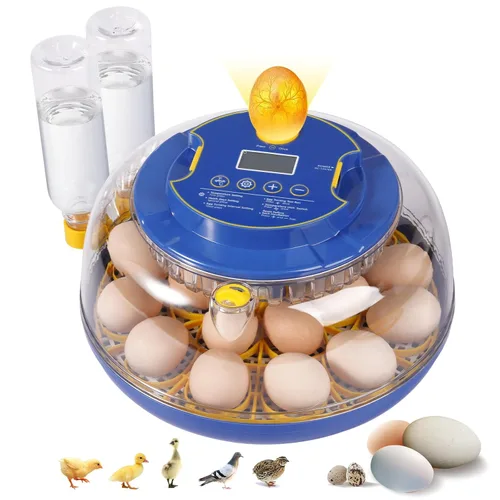 Incubadoras de 18 huevos para incubar huevos, incubadora de huevos de gallina con giro automático de huevos y control de temperatura y humedad, tapa