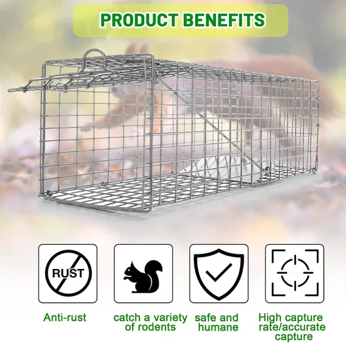 Miniatura 4 de Qualirey 1 trampa para ardillas humanitarias, resistente para animales vivos, captura y liberación, trampa para ratas para animales pequeños al aire