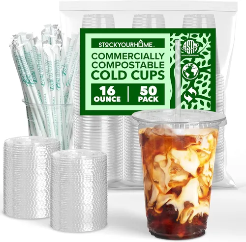 Stock Your Home Vasos fríos transparentes de ácido poliláctico (PLA) de 16 onzas, paquete de 50 vasos desechables de fiesta para agua, café helado,
