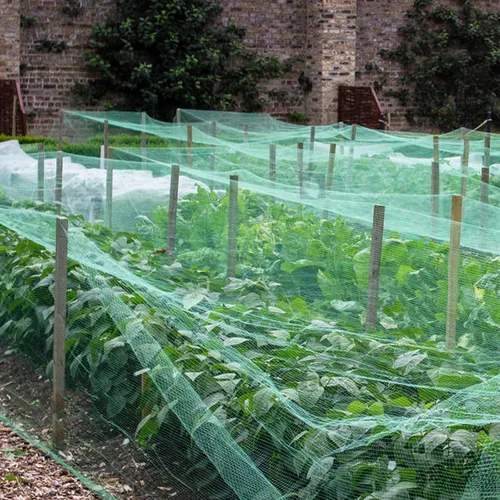 Miniatura 7 de Red para pájaros de 20 x 40 pies con red cuadrada de malla para pájaros de 1 pulgada para gallinero, aviario, valla de ciervos, red de pollo