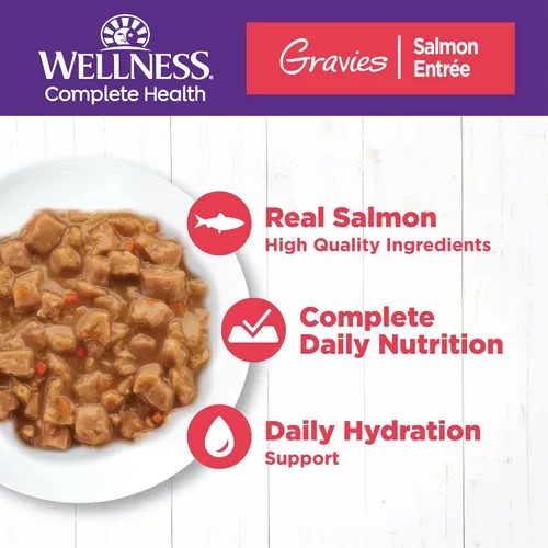 Miniatura 2 de Wellness Complete Health - Alimento húmedo en salsa para gatos adultos, natural, rico en proteínas, sin granos, 5.5 onzas, paquete de 12