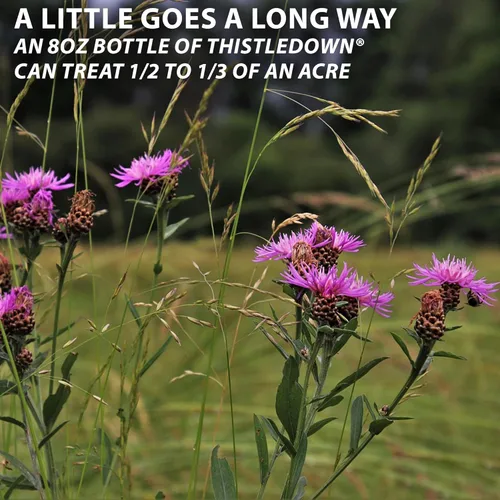 Miniatura 3 de Monterey Thistledown incluido con cuchara medidora, concentrado de control de cardo y trébol herbicidas, 8 onzas