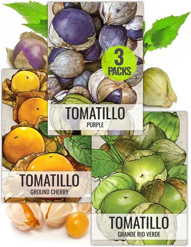 Miniatura 17 de Seed Needs, Colección de paquetes de semillas de rábano multicolor (6 variedades individuales de semillas de rábano para plantar) sin OMG y sin