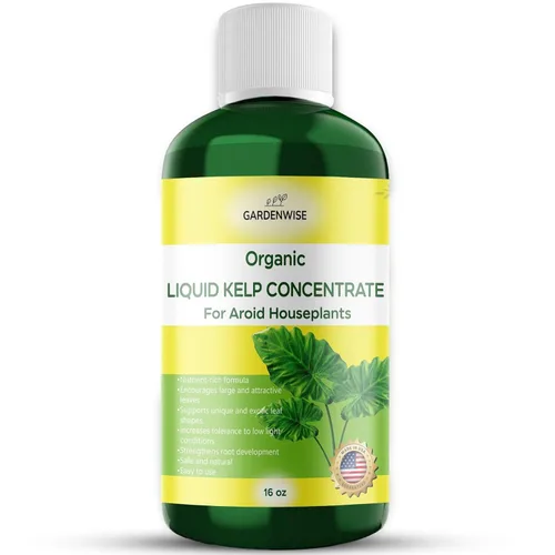 Miniatura 107 de GARDENWISE Fertilizante orgánico prémium de anturio de algas marinas – Alimento líquido para plantas de algas marinas – Potenciador de suelo rico