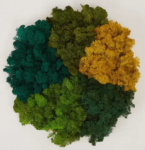 Miniatura 42 de Musgo de Reno Preservado Verde Natural Kit de Bricolaje Arte de Jardinería Decoración de Pared Decoración de Floristería Decoración de Mesa