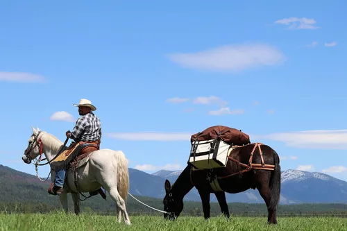 Miniatura 6 de TrailMax - Alforjas de lona para caballos y mulas; paquete de alforjas de lona de 24 onzas para sillas de montar Sawbuck o Decker; alforjas Sawbuck