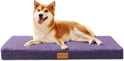 Cama ortopédica para perros Patas Lague de tamaño grande 36''X24'', suave, impermeable, de espuma en forma de caja de huevos, cama para jaula de