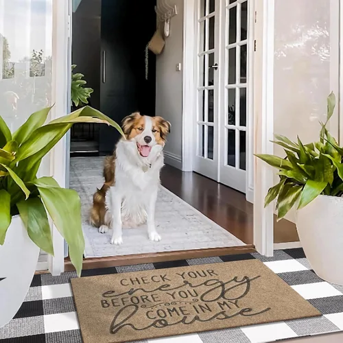 Miniatura 5 de Tapete para puerta delantera interior para zapatos por puerta, comprueba tu energía antes de venir a mi casa, tapetes divertidos para puerta