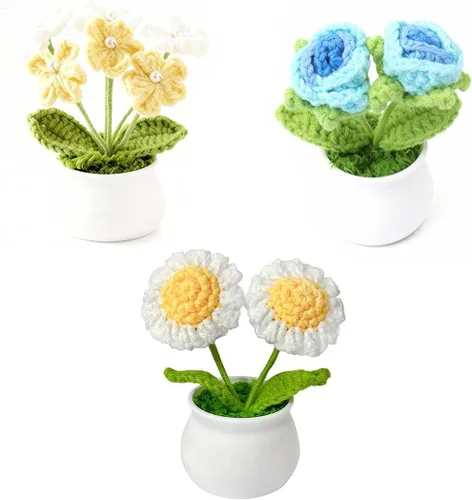 Miniatura 12 de Juego de 3 macetas de ganchillo con margarita rosa y Forget Me Not Small Potted Flowers Crochet Regalo para mamá, esposa, Día de la Madre