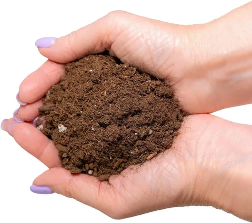 Miniatura 5 de GARDENERA Mezcla de suelo Dracaena de alta calidad, 3 cuartos de galón, mezcla para macetas formulada por expertos para árboles y arbustos Dracaena