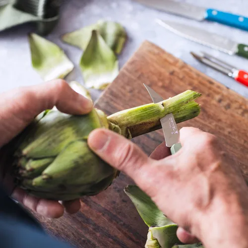 Miniatura 9 de OPINEL Les Essentials - Juego de cuchillos de cocina pequeños de 4 piezas - Pelar, dentado, pelador, cuchillo de verduras, acero de alto carbono 50S