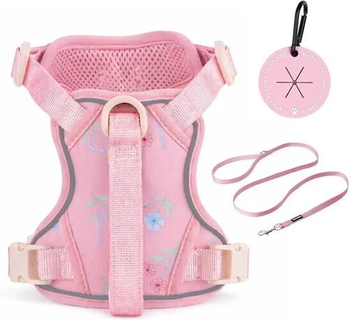 Miniatura 7 de Petmolico Arnés para perros pequeños, bonito arnés con dos clips para correa y mango suave, chaleco reflectante para cachorros fácil de caminar