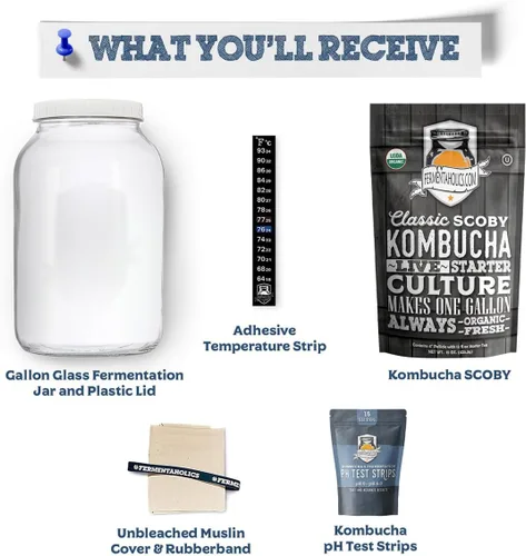 Miniatura 3 de Kombucha Essentials Kit – Incluye Kombucha Orgánica USDA SCOBY + tarro de fermentación de vidrio de 1 galón con cubierta transpirable + tiras de pH