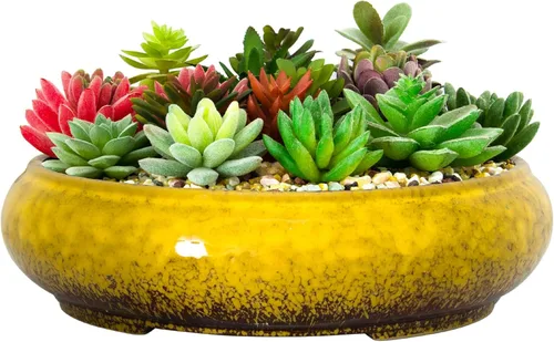 Miniatura 8 de Macetas de suculentas - Macetas de bonsái de cerámica de 11.5 pulgadas con drenaje, macetas de suculentas grandes y poco profundas para plantas