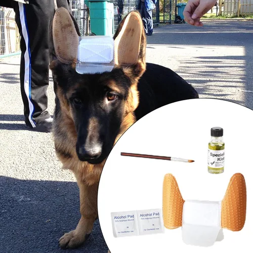 Miniatura 3 de MagiDeal 1 juego de calcomanías para orejas de cachorro, corrector de oído, kit de herramientas para el cuidado de los oídos, soporte para orejas