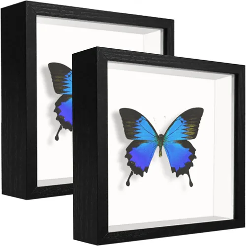 Miniatura 47 de Caja expositora de 8 x 8 pulgadas con calcomanías de letras, vitrina para recuerdos, artículos de bebé, recuerdos de boda, manualidades, boletos