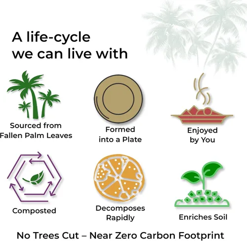 Miniatura 9 de Indie Palm Platos desechables de hoja de palma, paquete de 50 unidades, cuadrados de 8 pulgadas, resistentes, 100% compostables y biodegradables