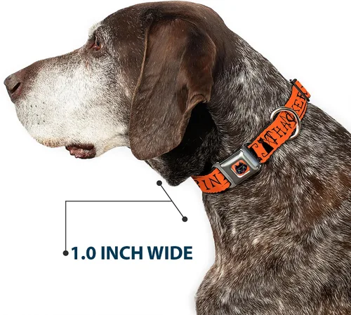 Miniatura 6 de Buckle-Down Collar de perro Hebilla de cinturón de seguridad Hocus Pocus Thackery Binx Cat Silhouette Naranja Negro, 1 pulgada de ancho - Se adapta