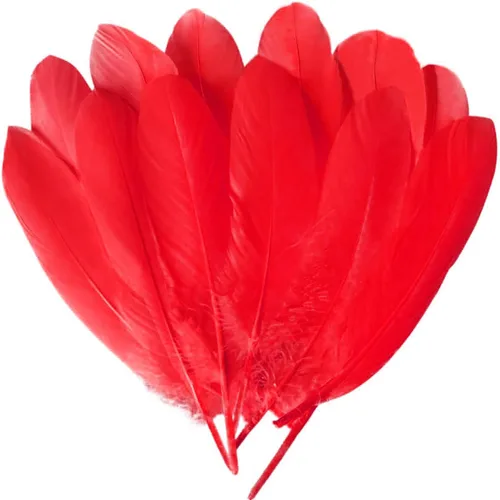 Miniatura 9 de 100 plumas de ganso marrón de 6 a 8 pulgadas para decoración de otoño, manualidades, ropa de cosplay, sombreros, accesorios, atrapasueños, Café