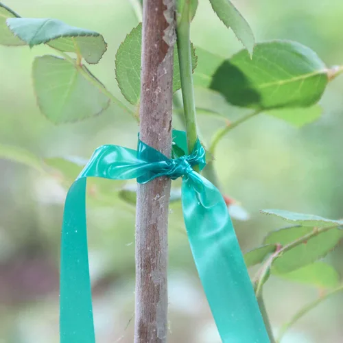 Miniatura 5 de Cinta de amarre de jardín de 0.45 pulgadas y 290 pies, rollo de cinta elástica para plantas, resistente cinta de plantas de PVC verde jardín